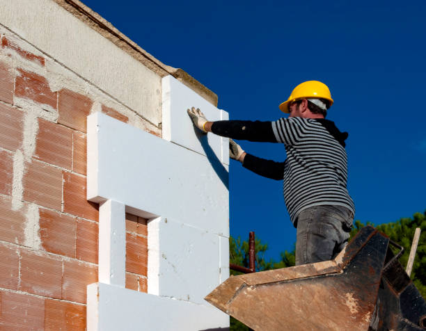 Best Cellulose Insulation in Highland City, FL