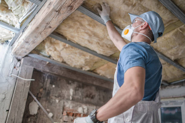 Types of Insulation We Offer in Highland City, FL