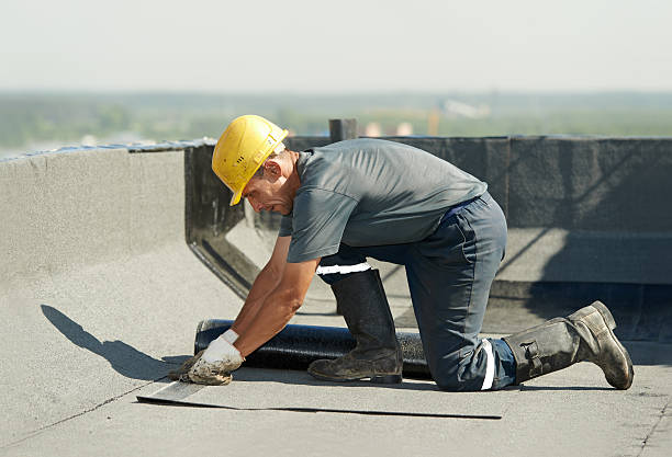 Best DIY Insulation Kits and Guidance in Highland City, FL