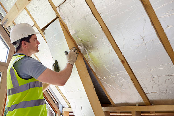 Best Specialized Insulation Services in Highland City, FL